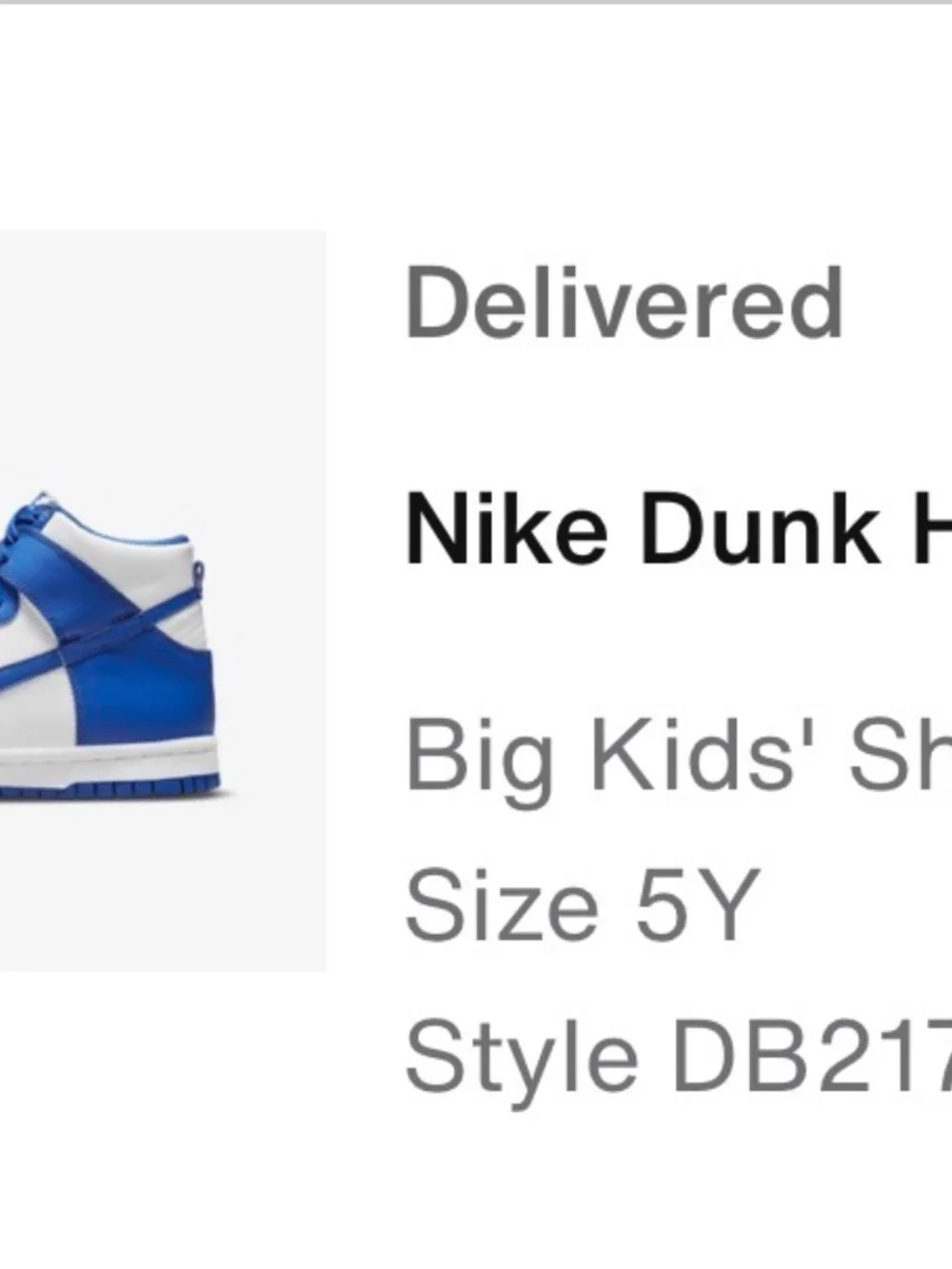 Big kids Nike dunk high